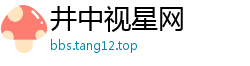井中视星网